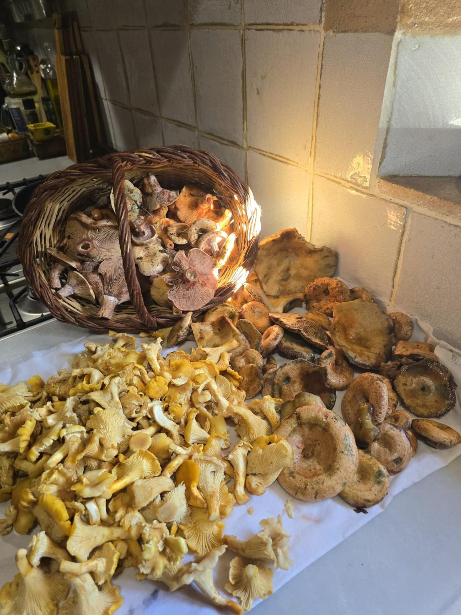 El Raco Dels Mussols 1 Villa Canet de Adri Dış mekan fotoğraf